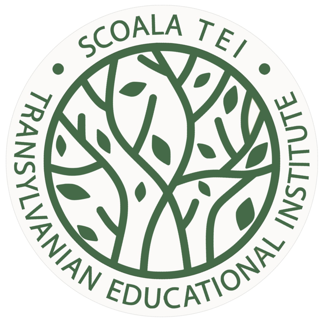 Logo Transylvanian Educational Institute
